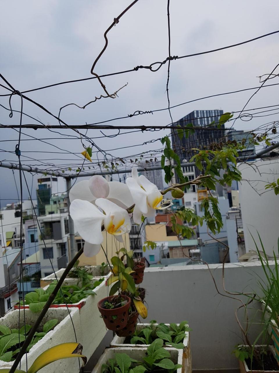 Appartamento Urban House Saigon 2 Thành Pho Ho Chí Minh Esterno foto