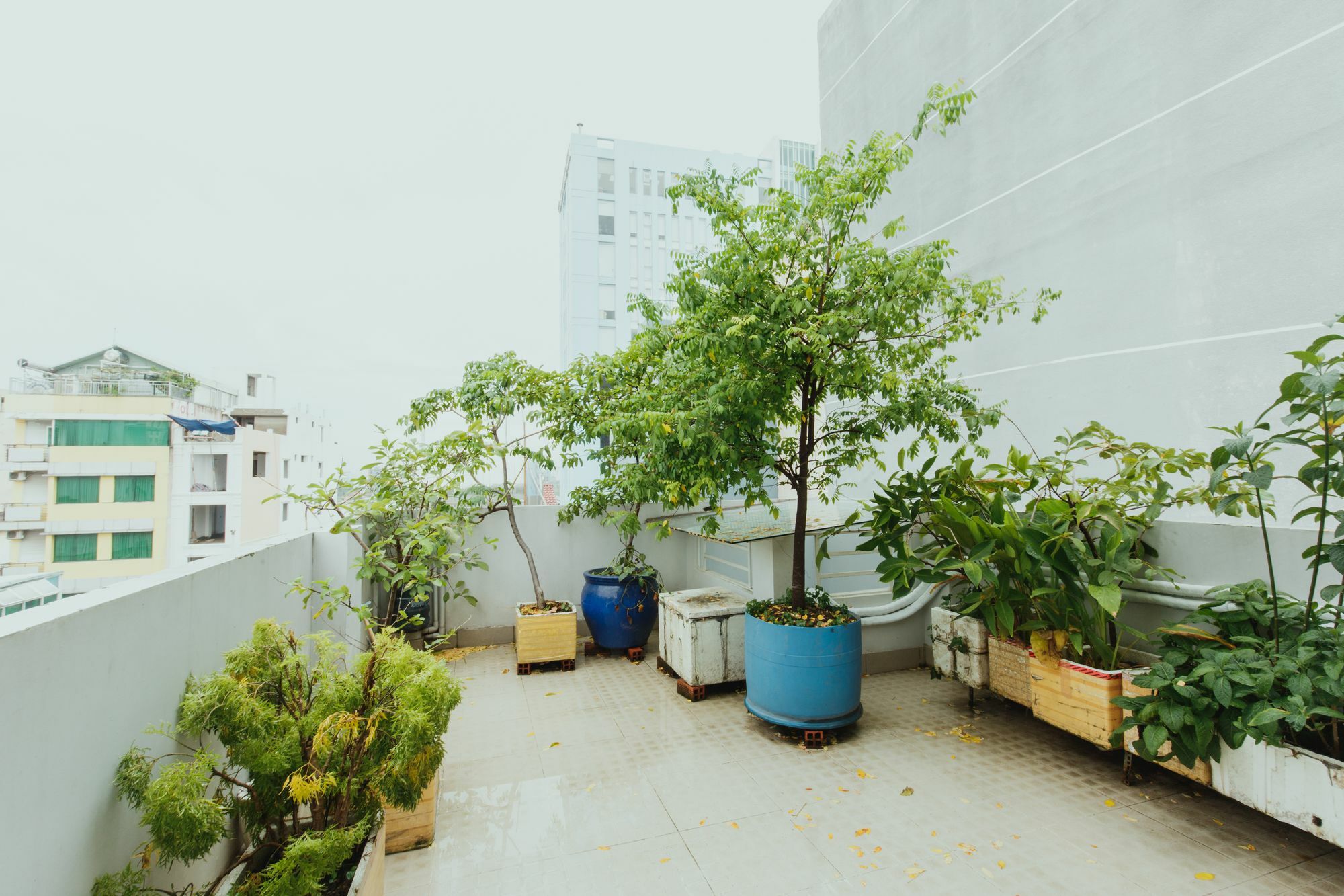 Appartamento Urban House Saigon 2 Thành Pho Ho Chí Minh Esterno foto